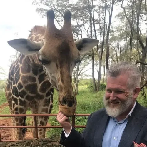 giraffe